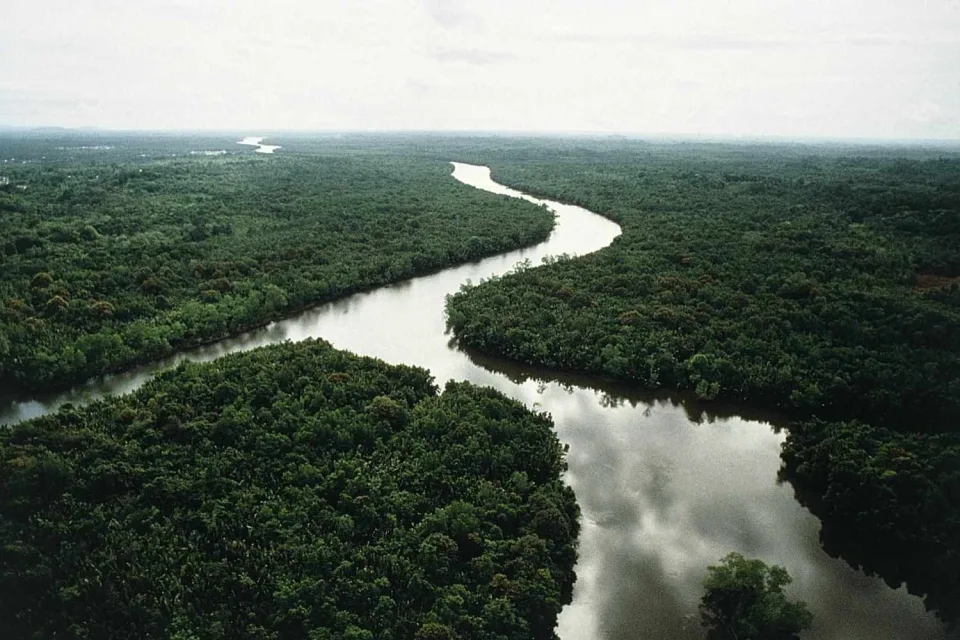 Rainforest Land: A Unique Approach to Environmental Electronics and Sustainability